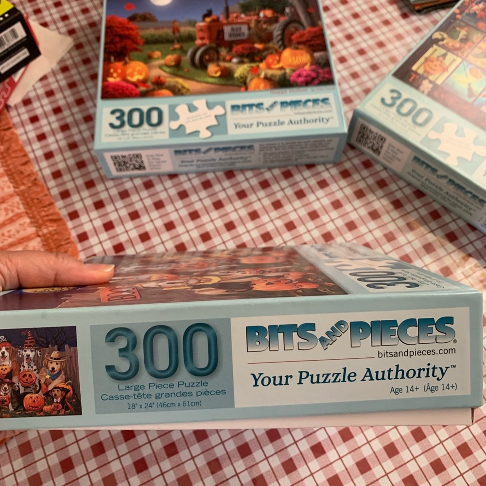 Puzzle 🧩 - Picture 2 of 3